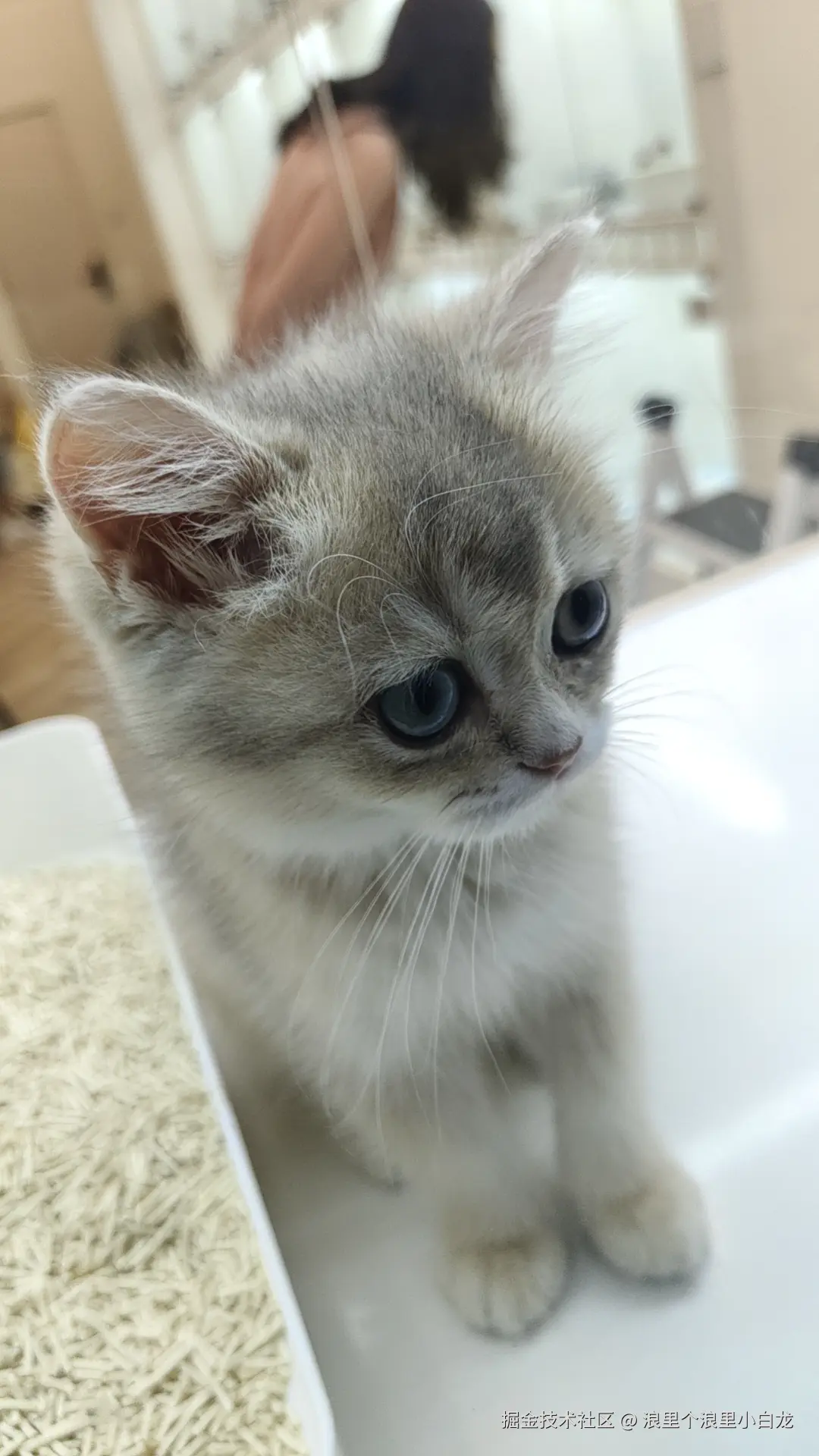 浪里个浪里小白龙于2025-11-06 16:41发布的图片