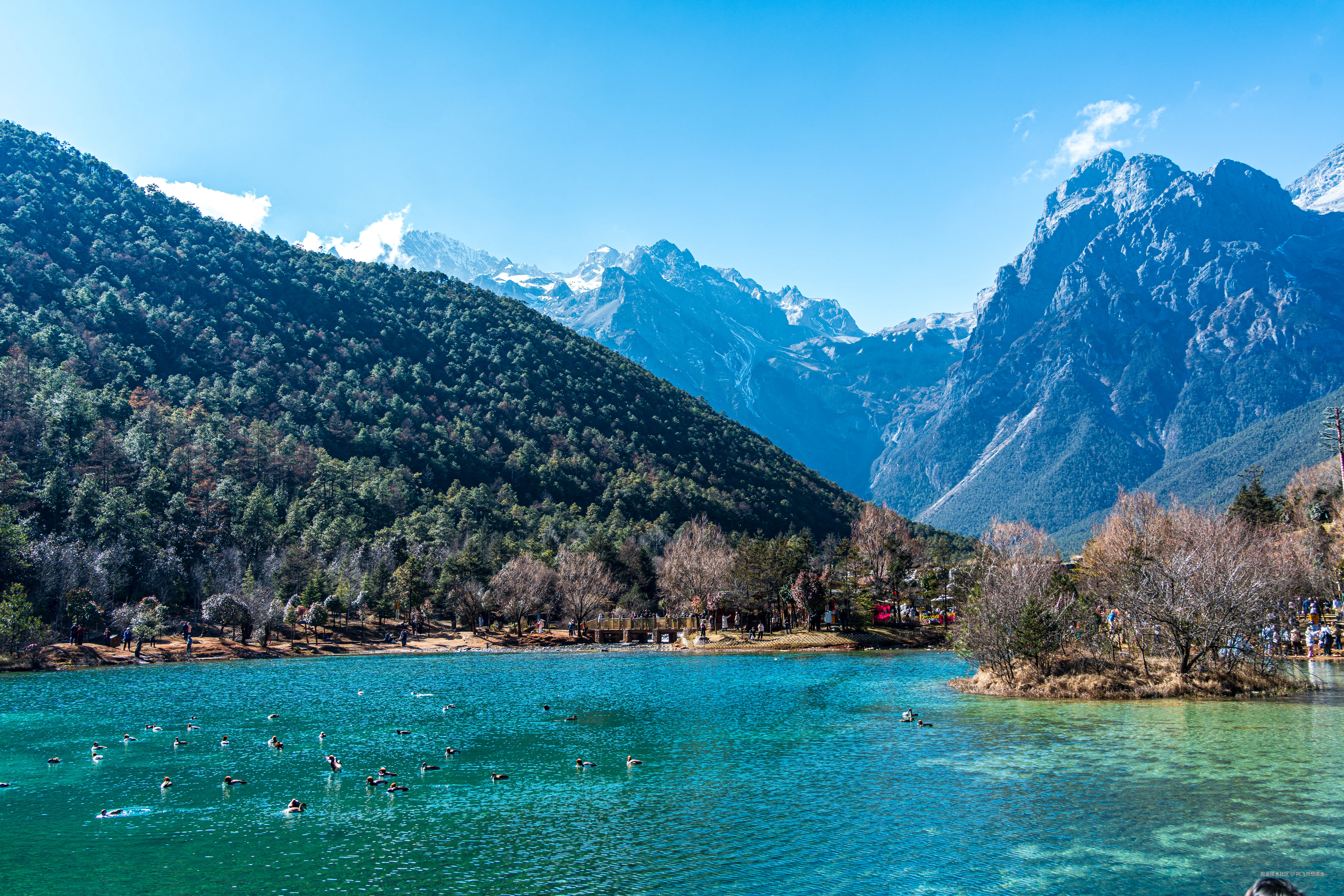 阿飞只想摸鱼于2026-02-11 14:55发布的图片