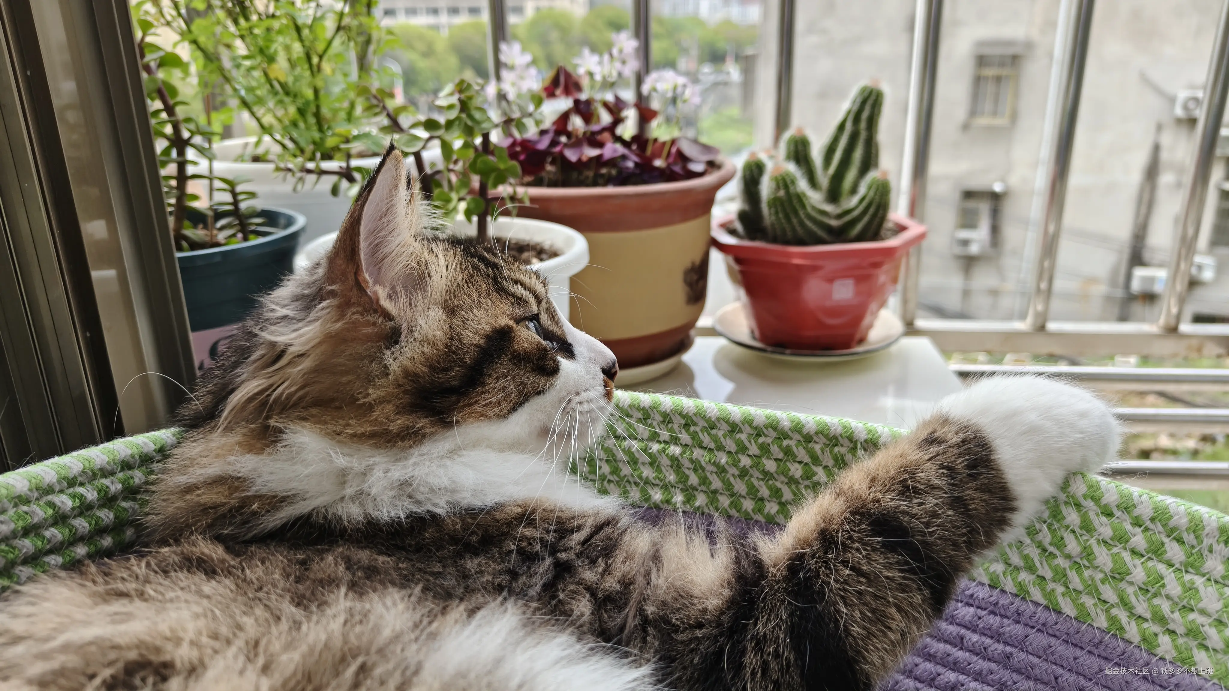 钱多多不想上班于2026-04-07 10:47发布的图片