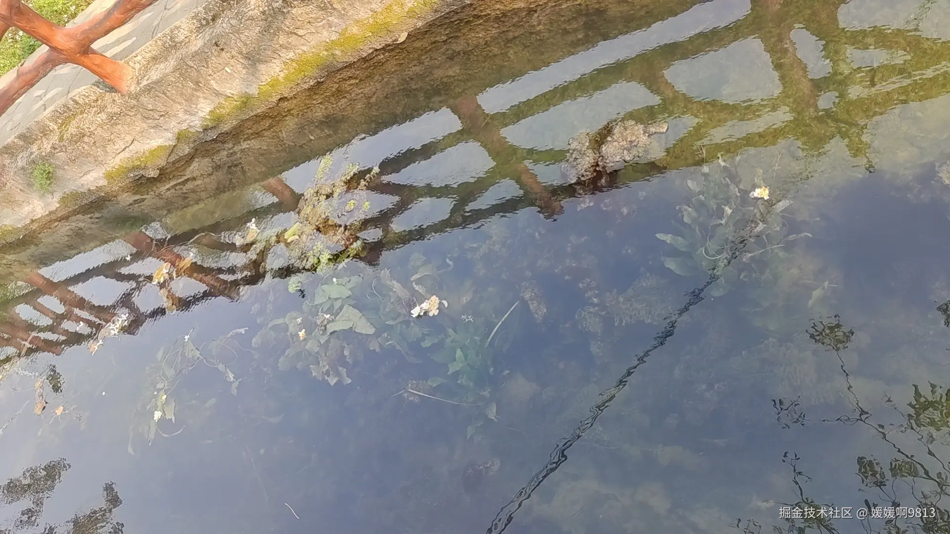 媛媛啊9813于2024-12-23 10:13发布的图片