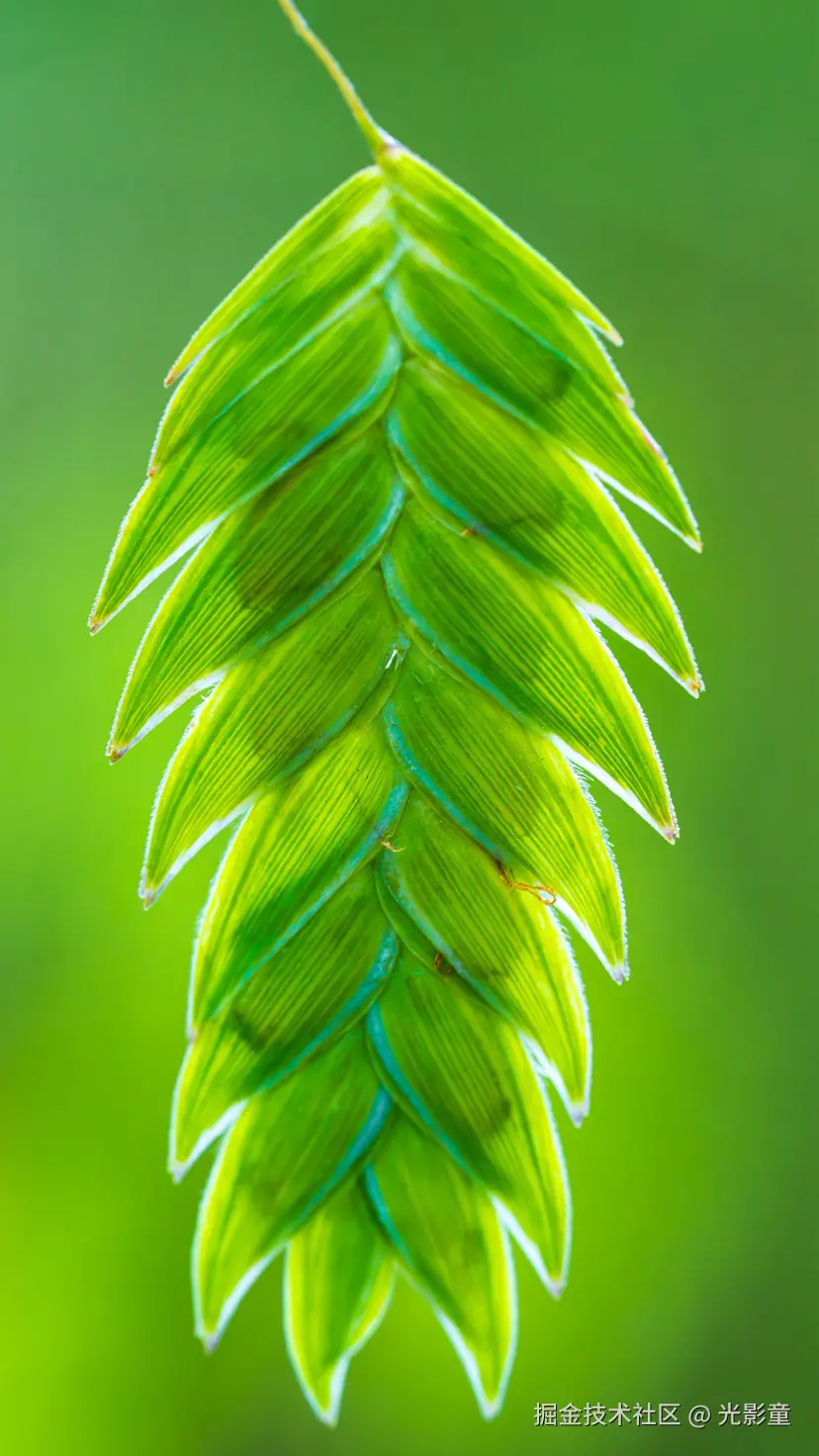 光影童于2025-08-06 09:16发布的图片