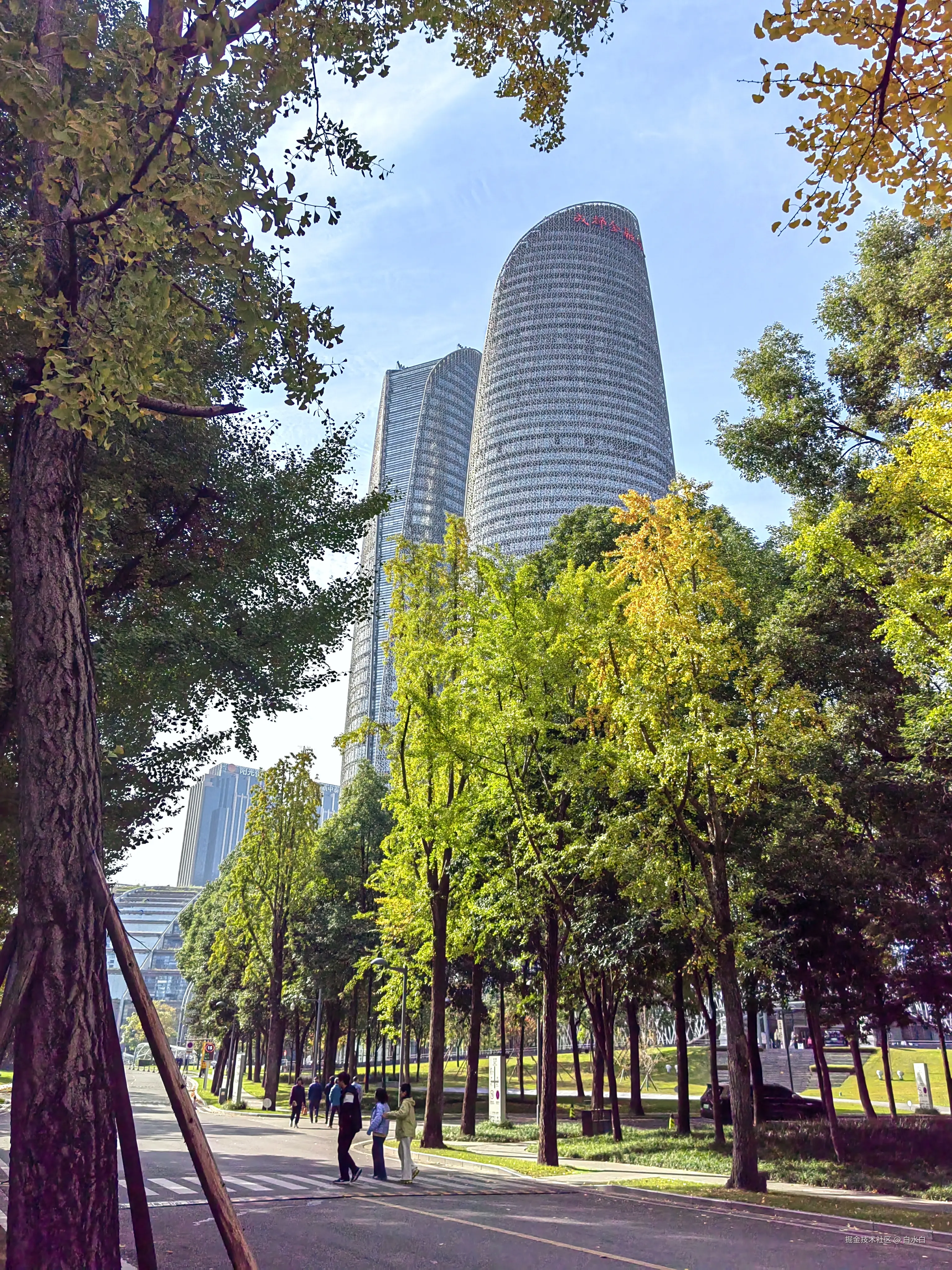 白水白于2025-11-19 12:09发布的图片