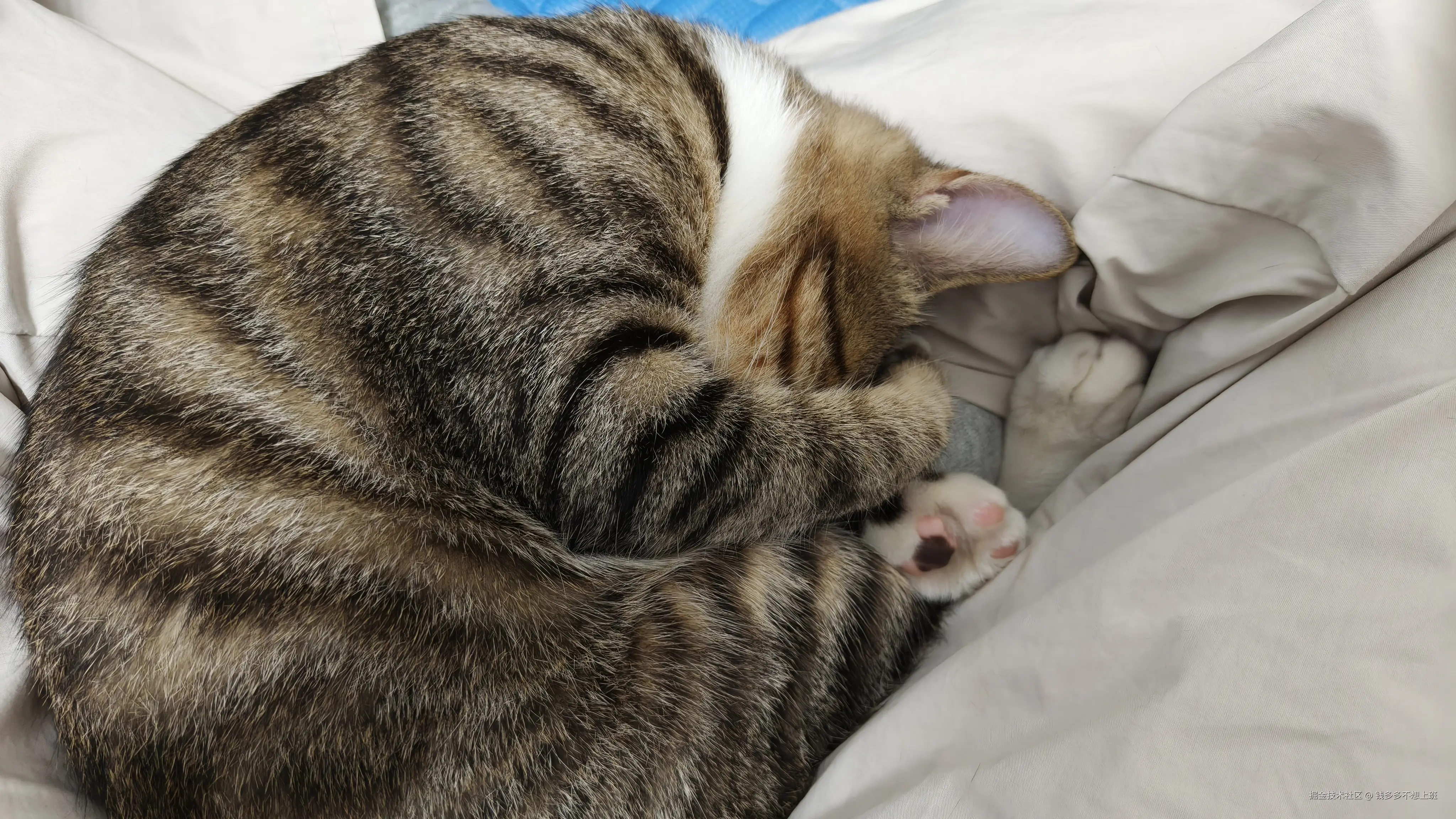 钱多多不想上班于2025-10-17 13:58发布的图片