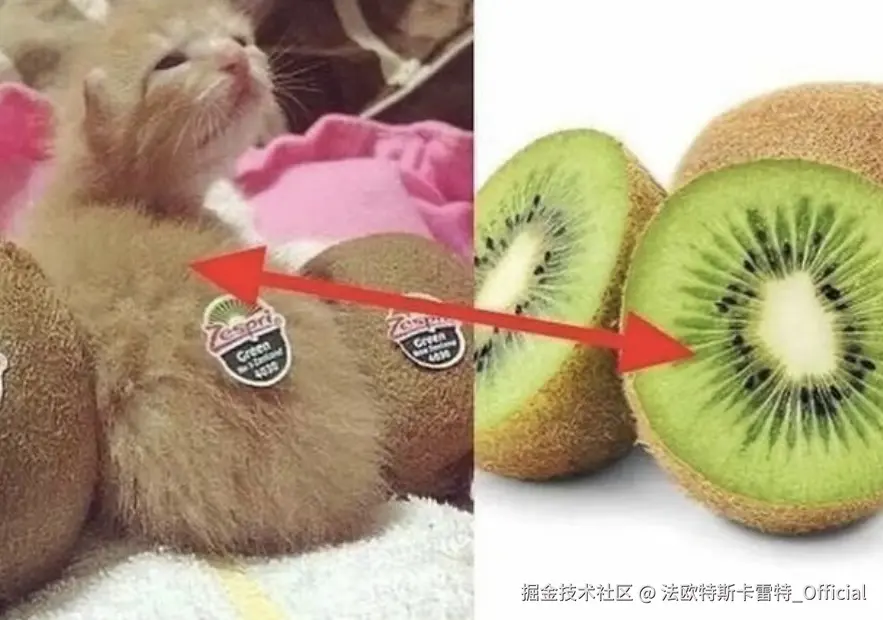 法欧特斯卡雷特_Official于2024-11-22 10:09发布的图片