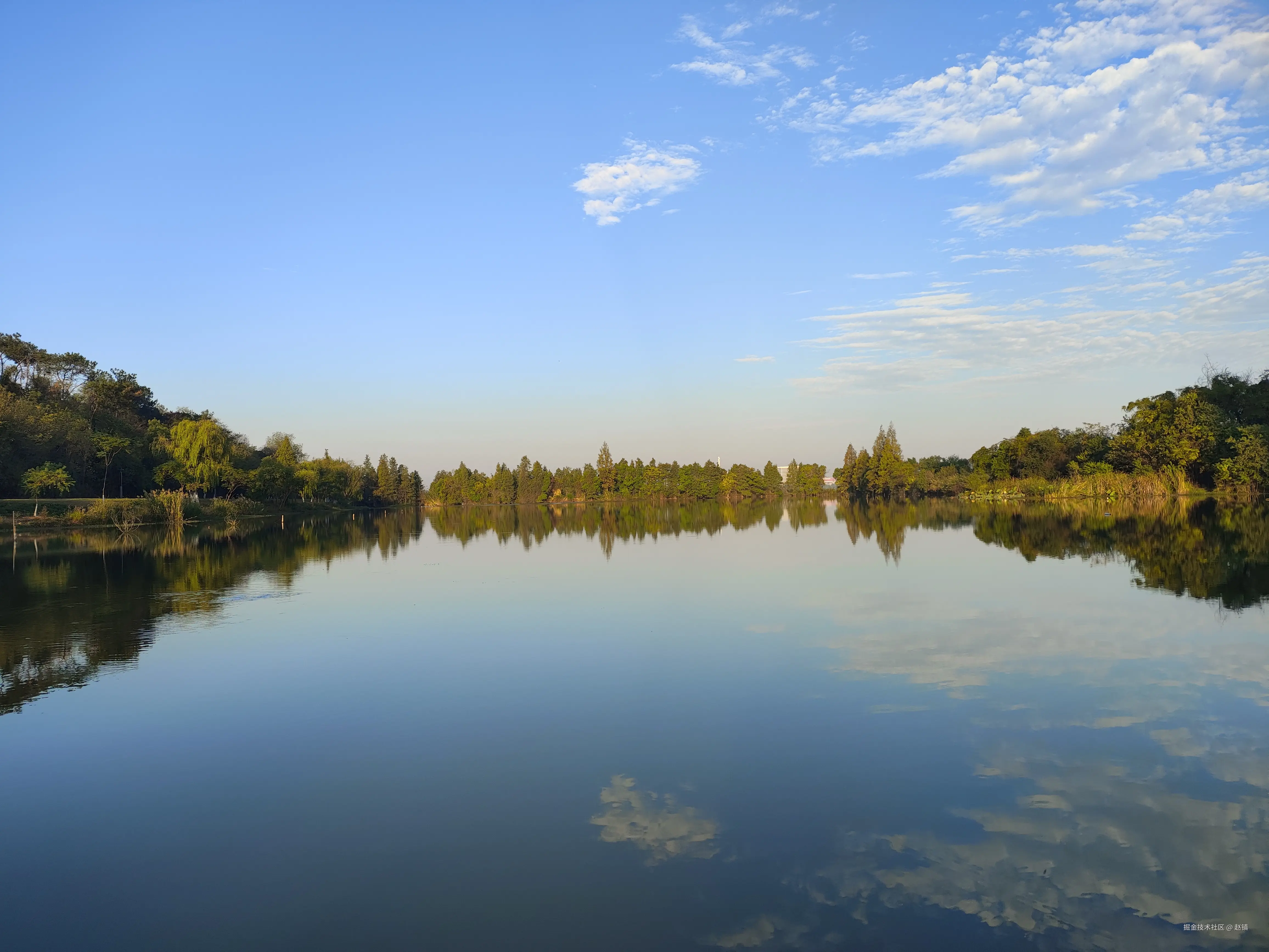 赵镇于2024-10-25 10:03发布的图片