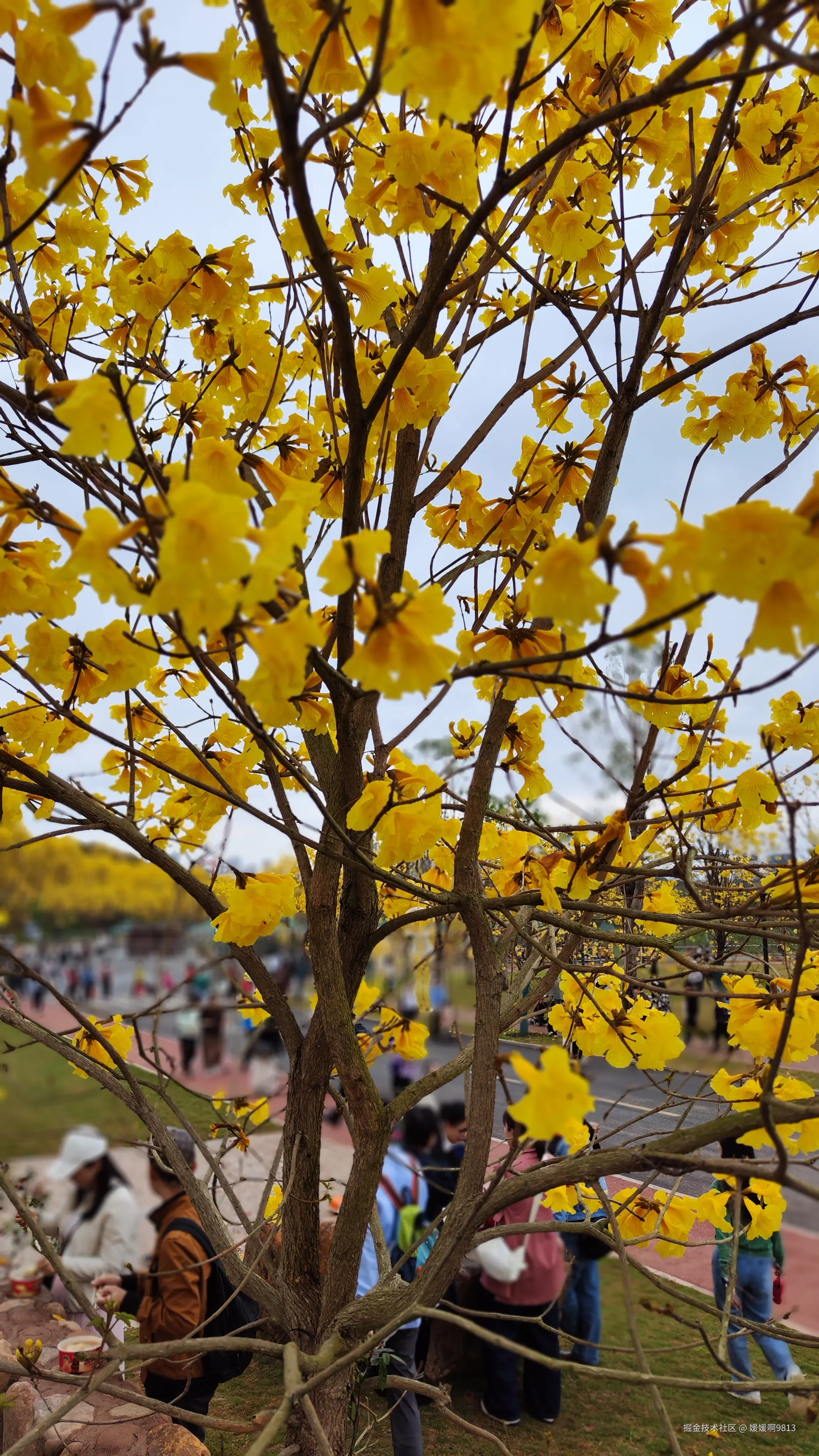 媛媛啊9813于2025-03-16 04:30发布的图片