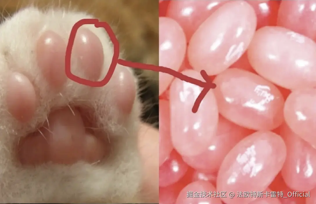 法欧特斯卡雷特_Official于2024-11-22 10:09发布的图片