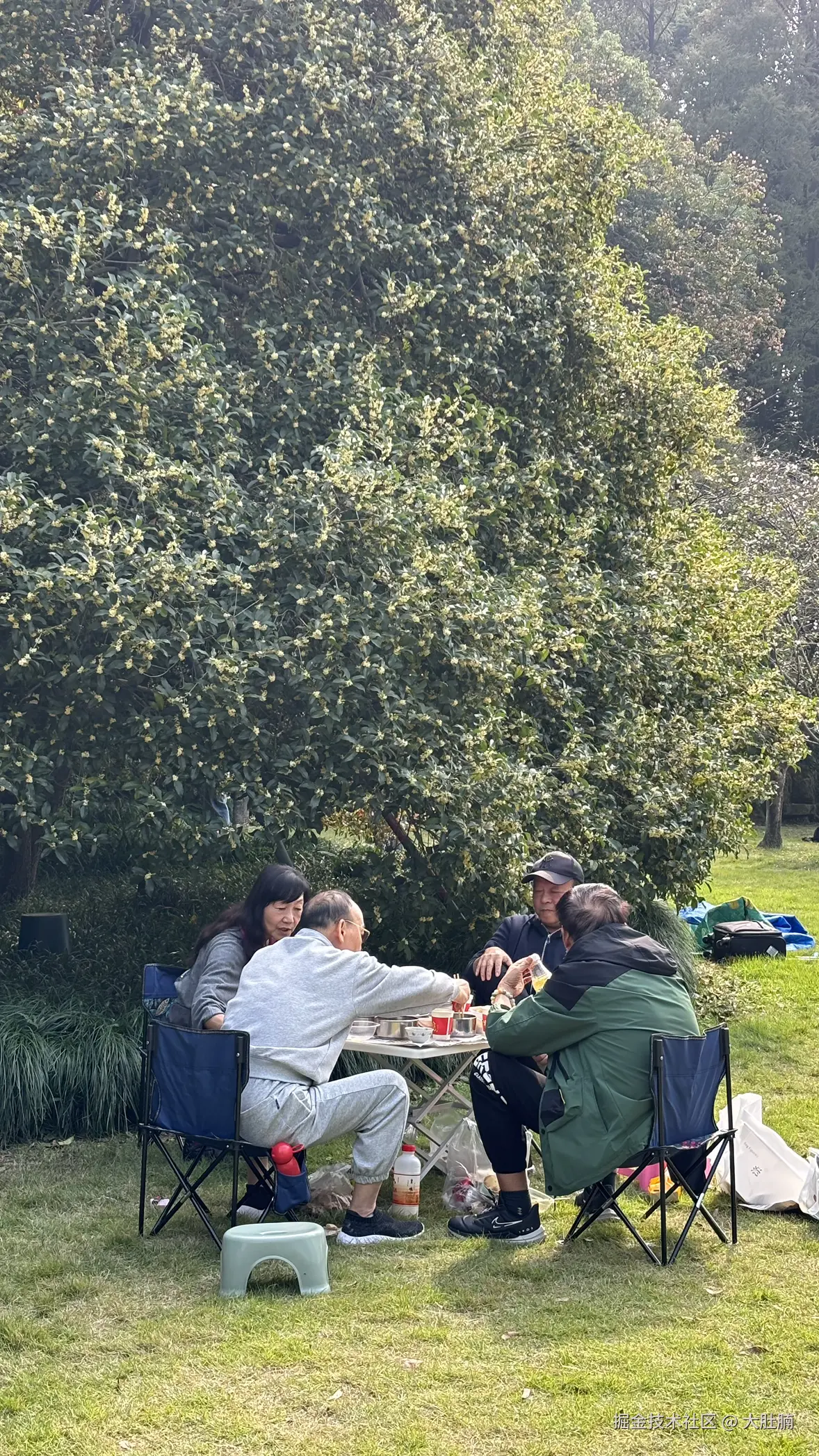 大肚腩于2025-11-03 09:30发布的图片