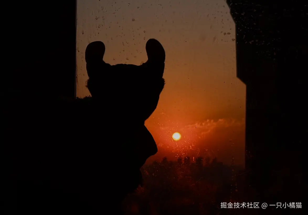 一只小橘猫于2025-10-23 02:00发布的图片