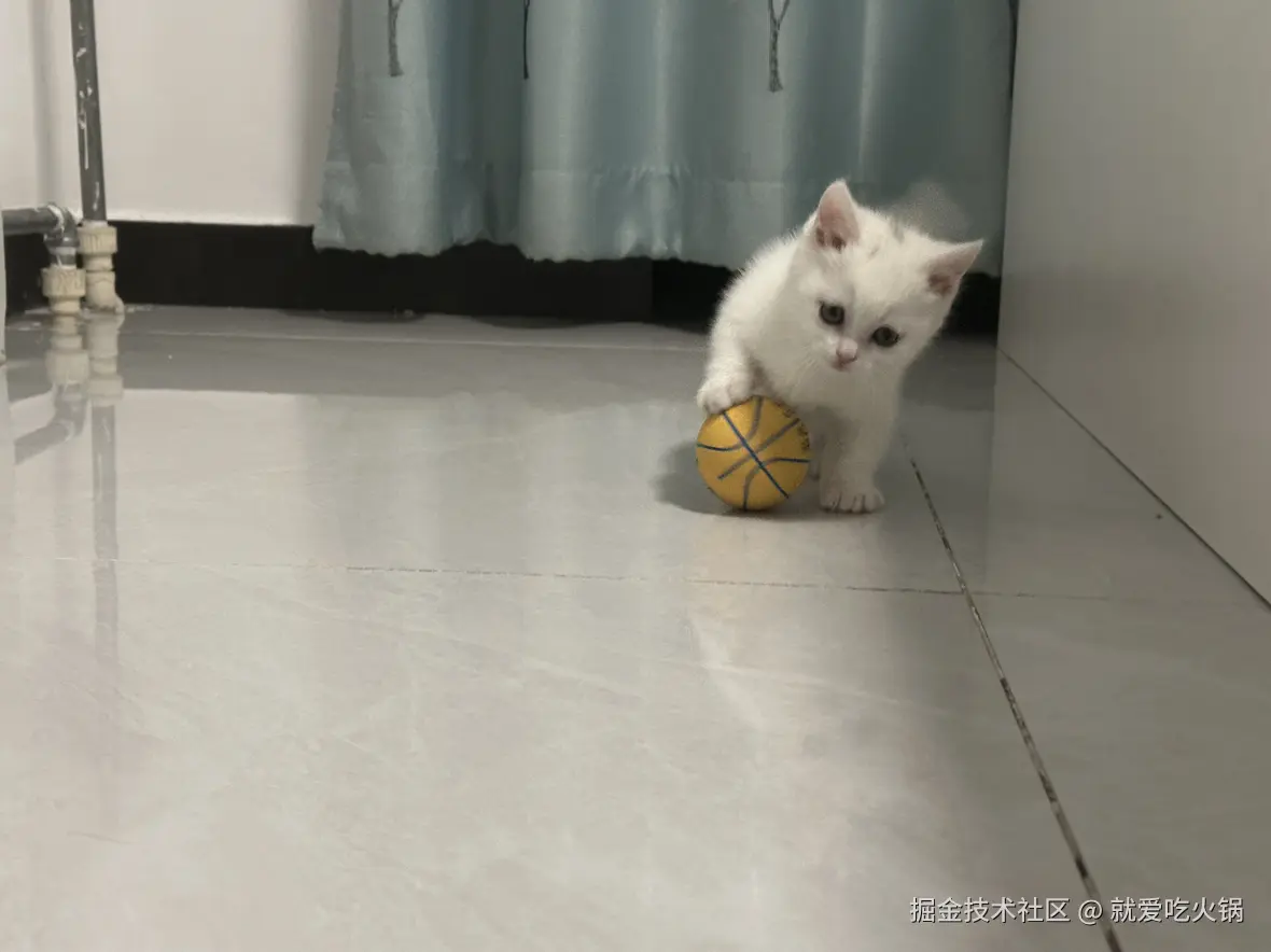 就爱吃火锅于2025-02-19 09:30发布的图片