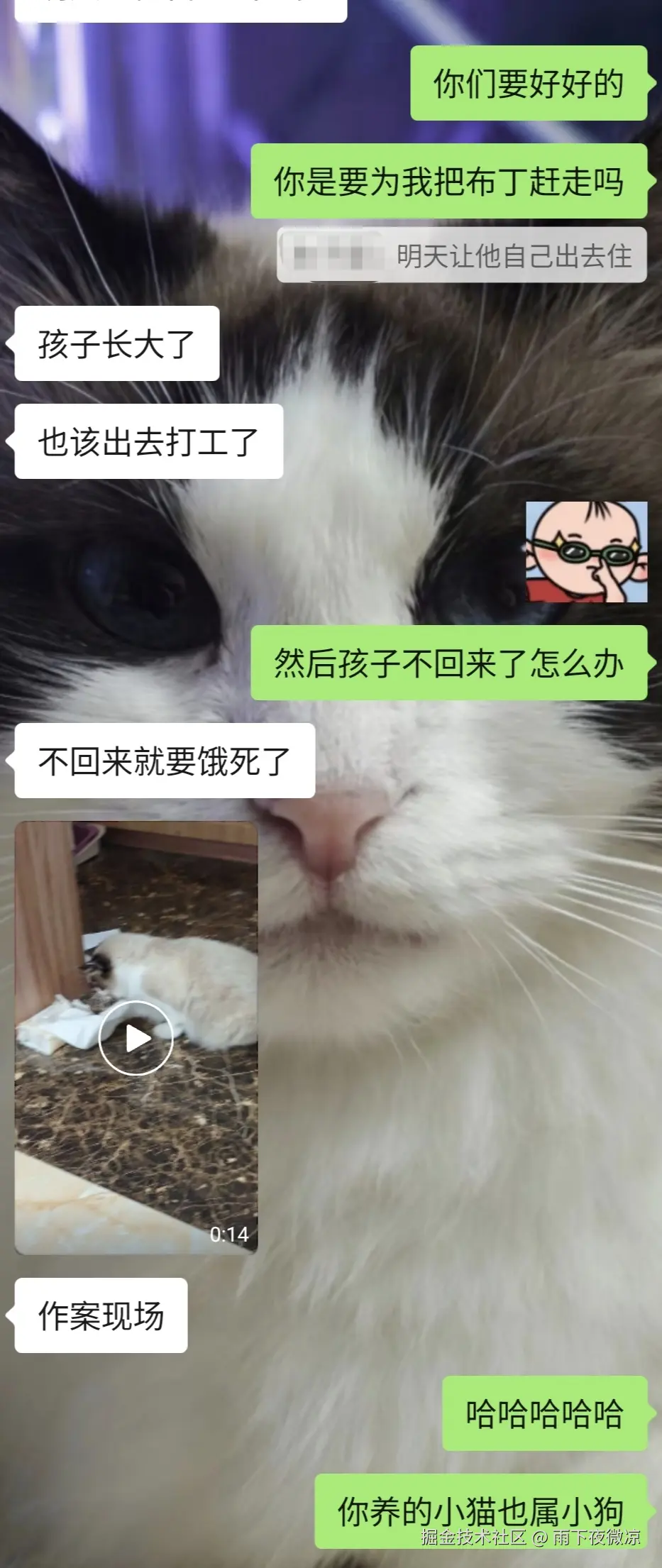 雨下夜微凉于2026-04-13 00:51发布的图片