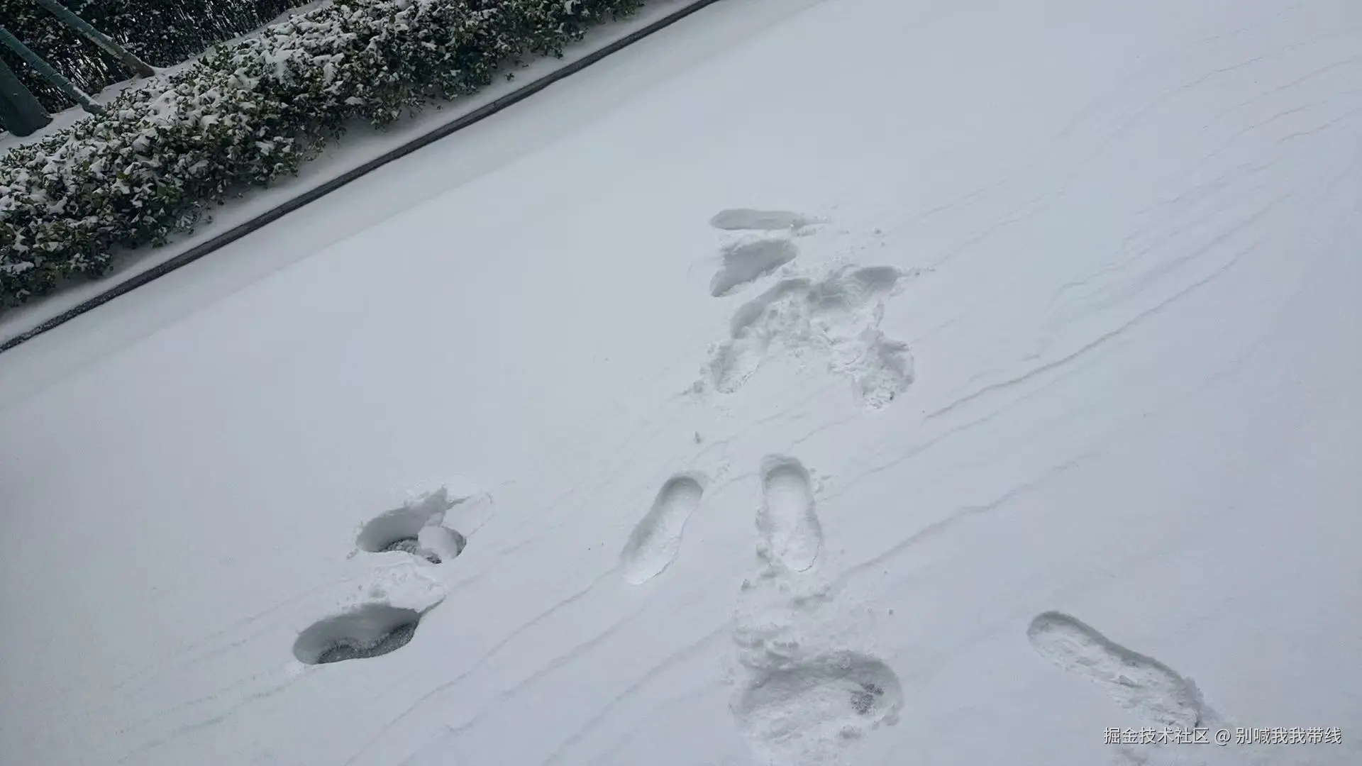 别喊我我带线于2026-01-20 10:58发布的图片