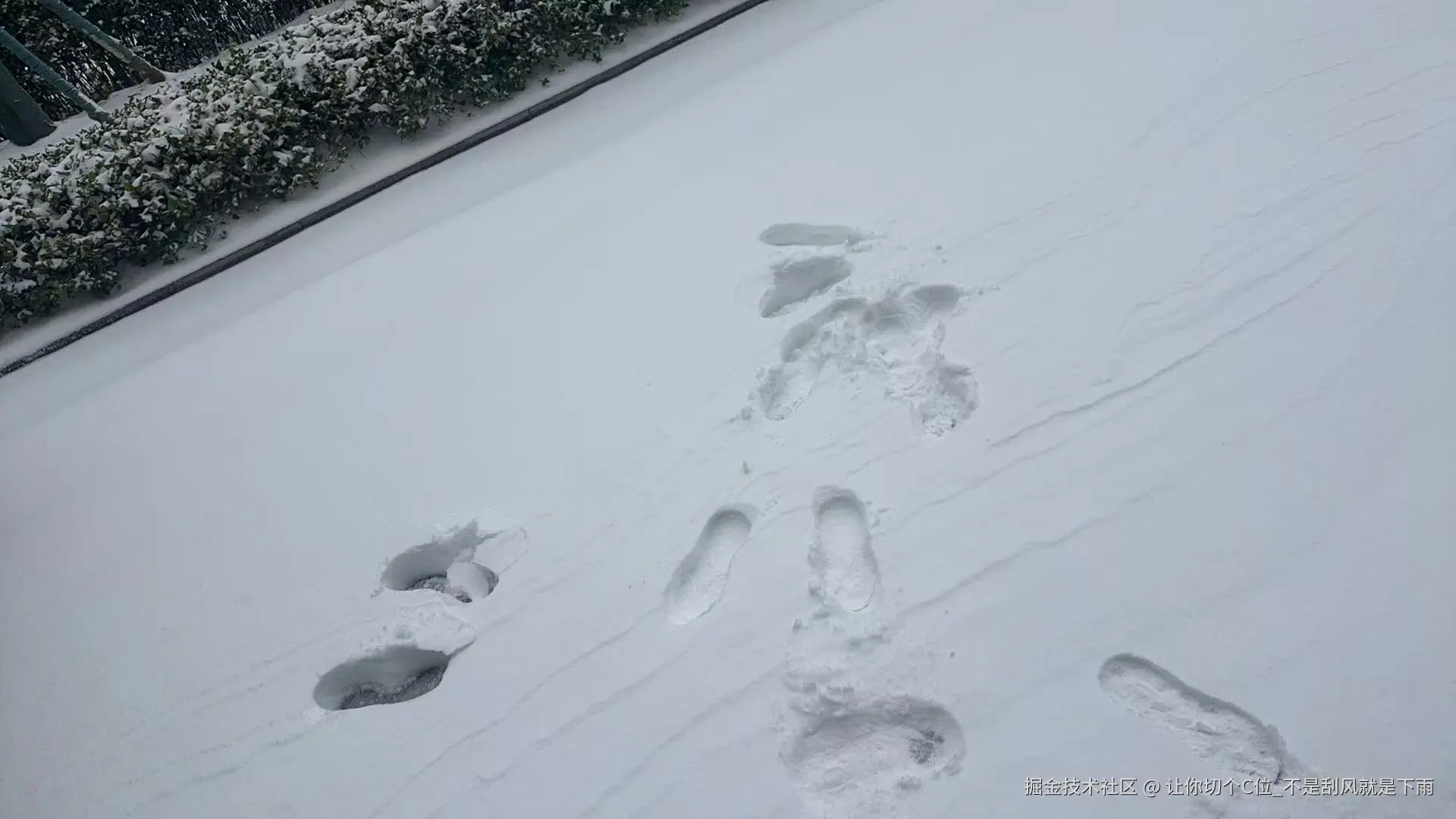 让你切个C位_不是刮风就是下雨于2026-01-20 10:58发布的图片