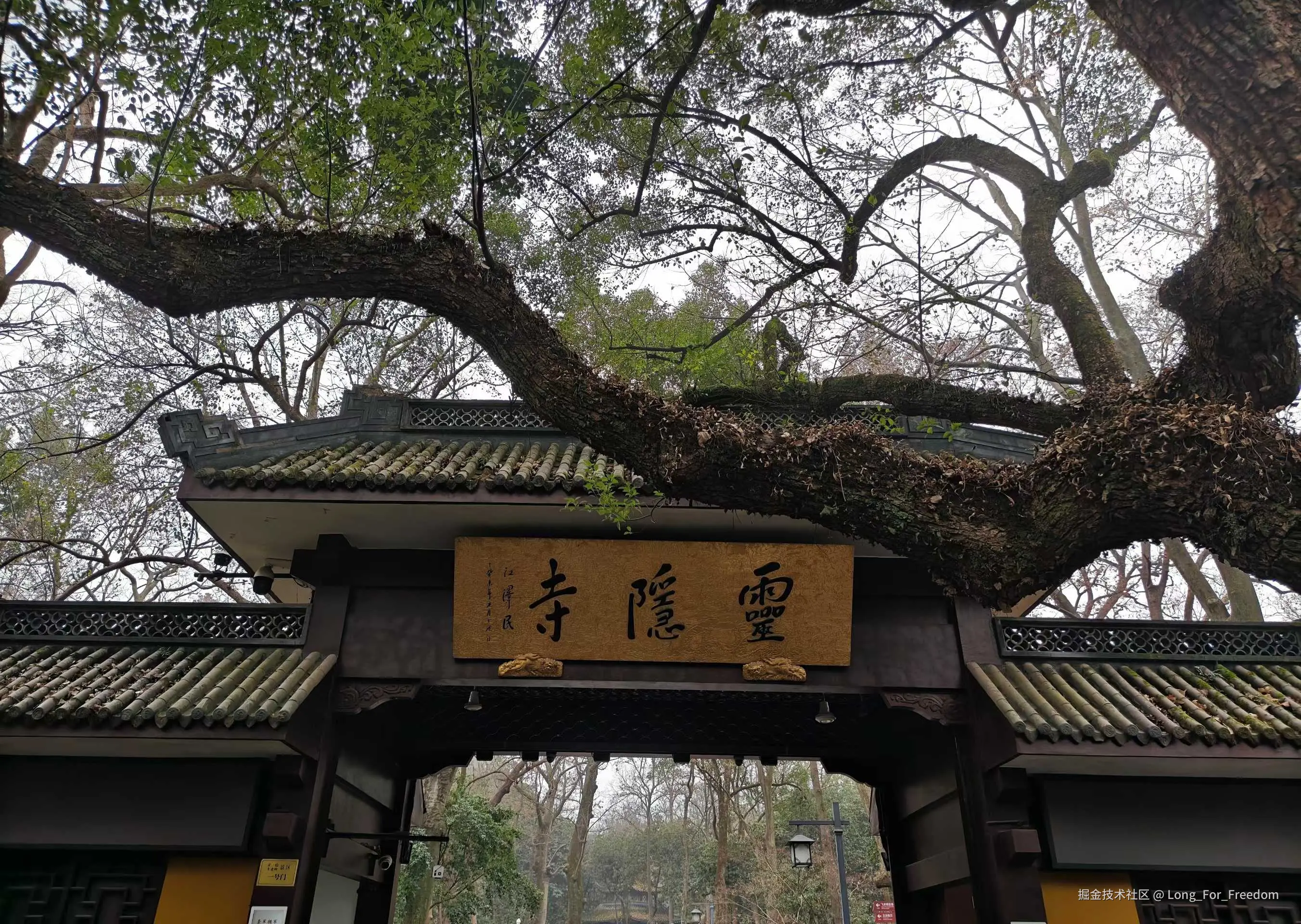 Long_For_Freedom于2026-01-19 10:22发布的图片