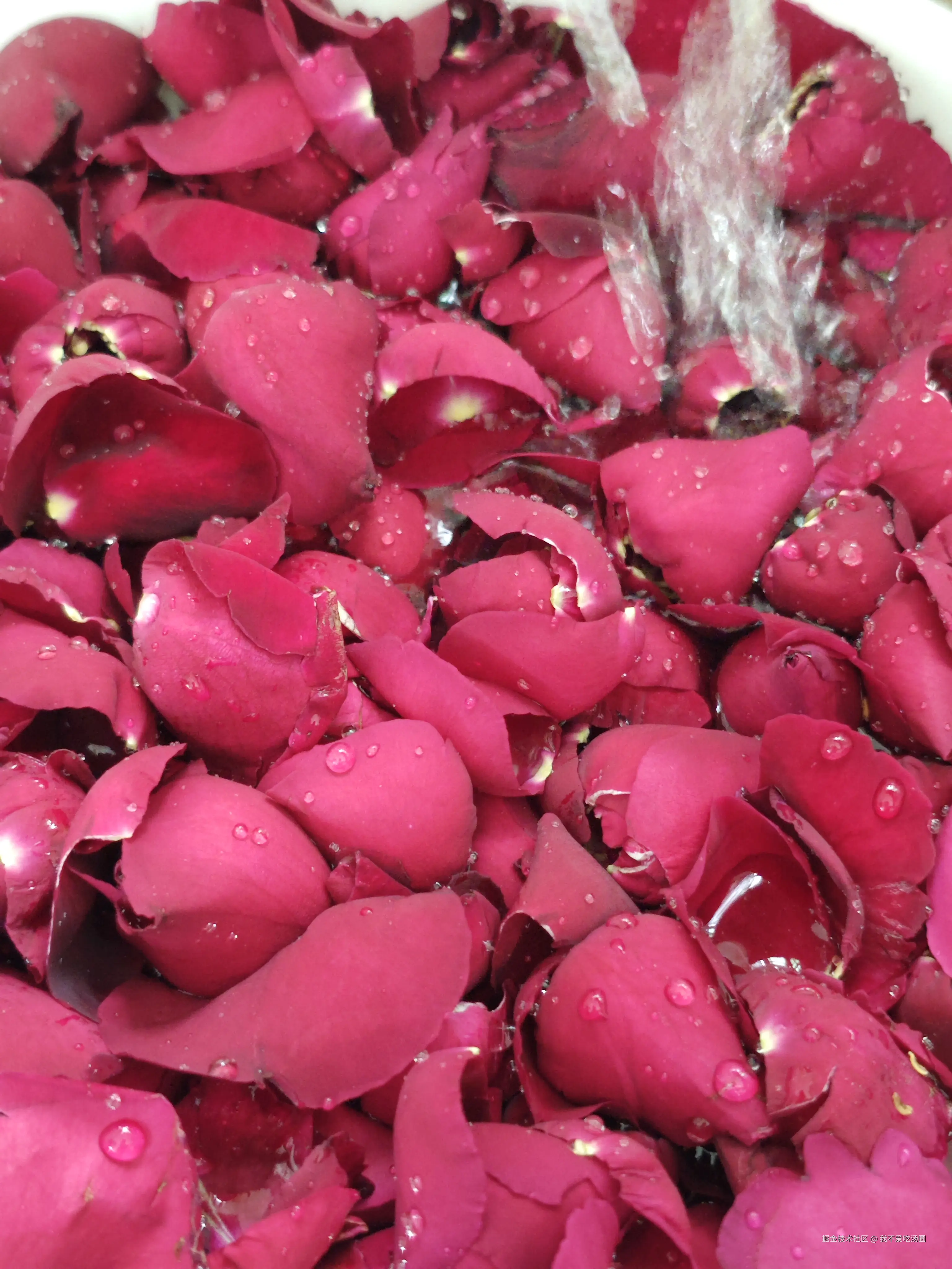 我不爱吃汤圆于2025-04-28 21:36发布的图片