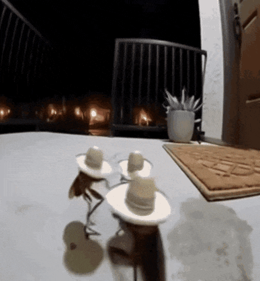 接着奏乐快接着舞于2025-11-14 13:52发布的图片