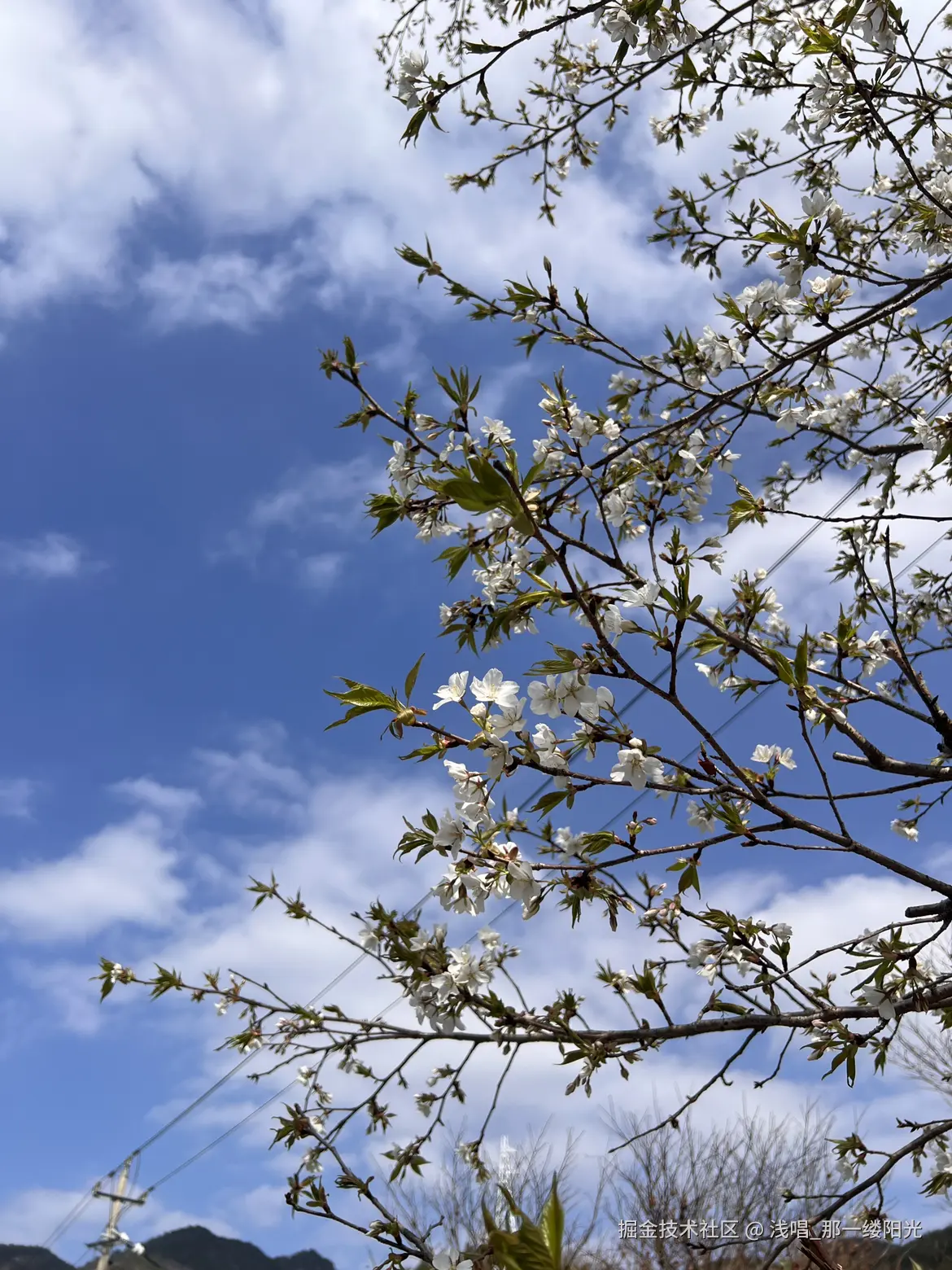 浅唱_那一缕阳光于2026-04-07 10:47发布的图片