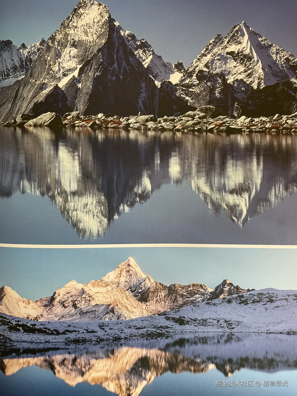 植物昂光于2026-03-15 11:13发布的图片