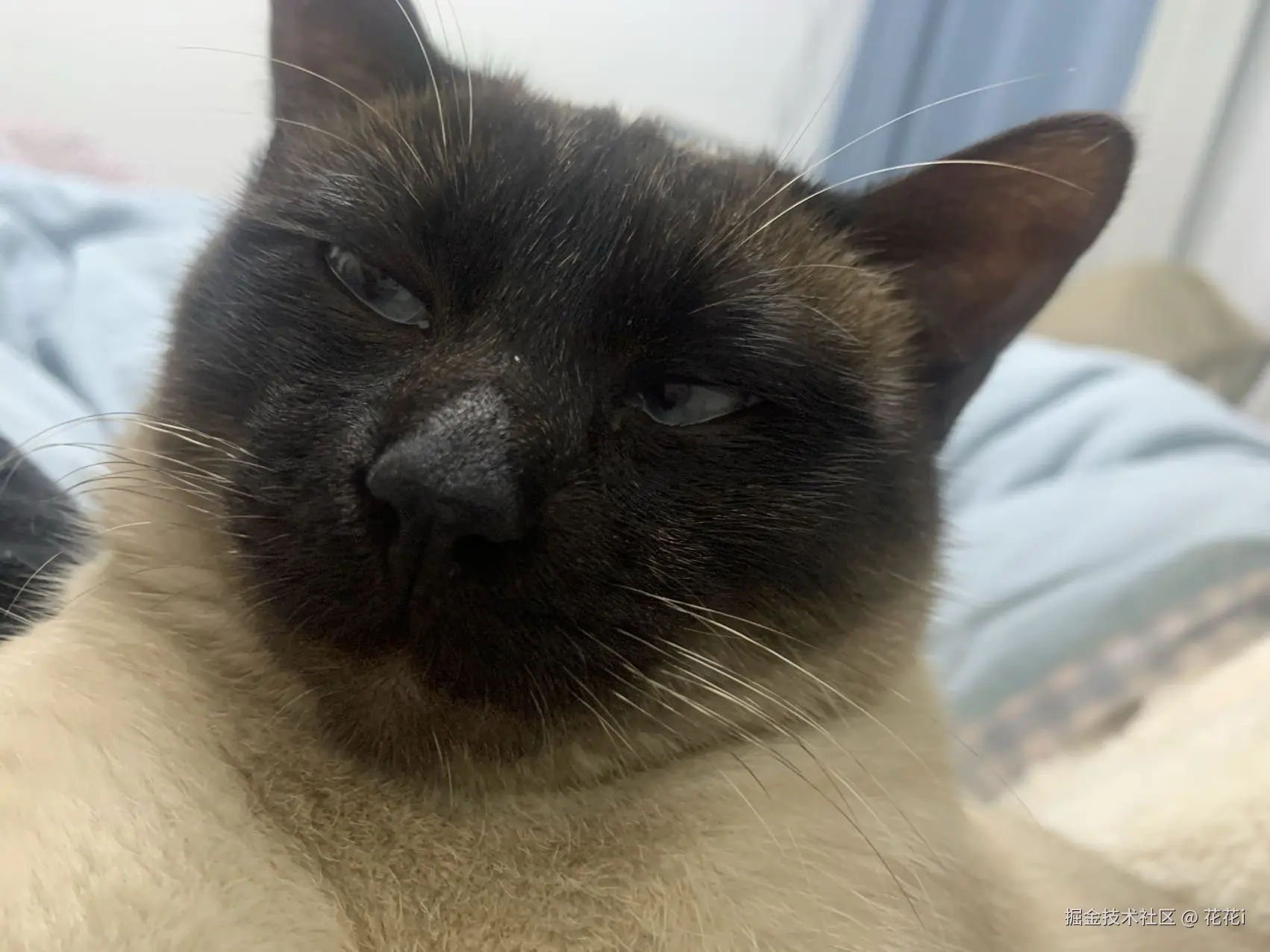 花花i于2025-01-06 15:09发布的图片