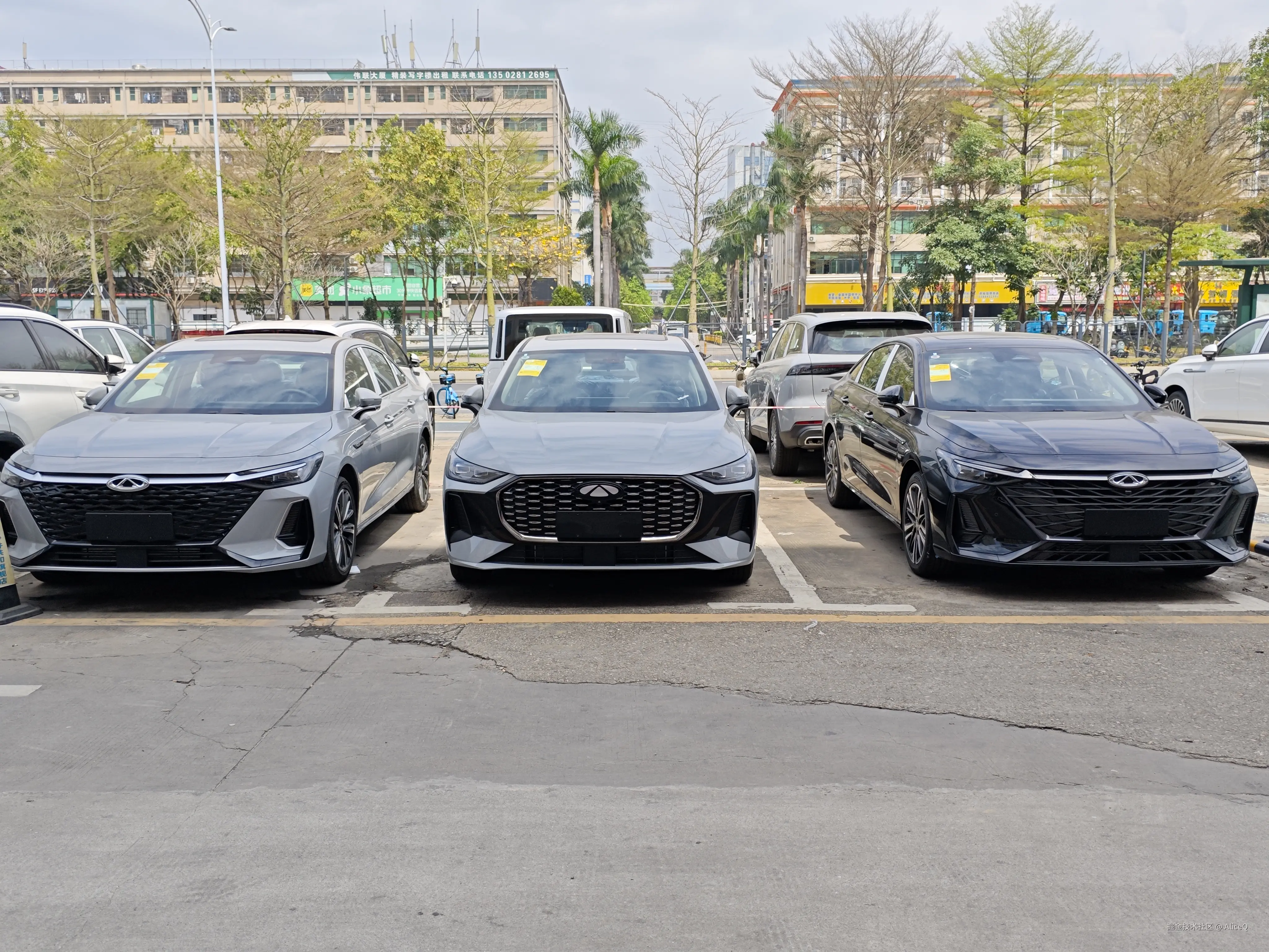 AliceQ于2025-03-25 13:12发布的图片