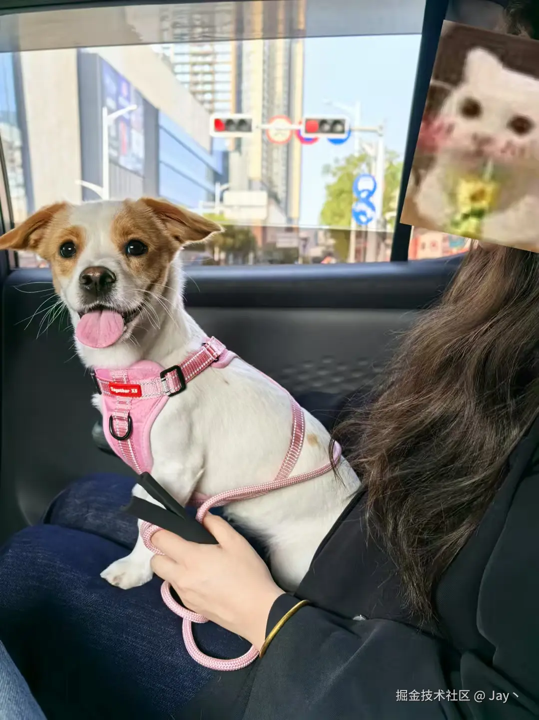 Jay丶于2025-03-10 10:22发布的图片