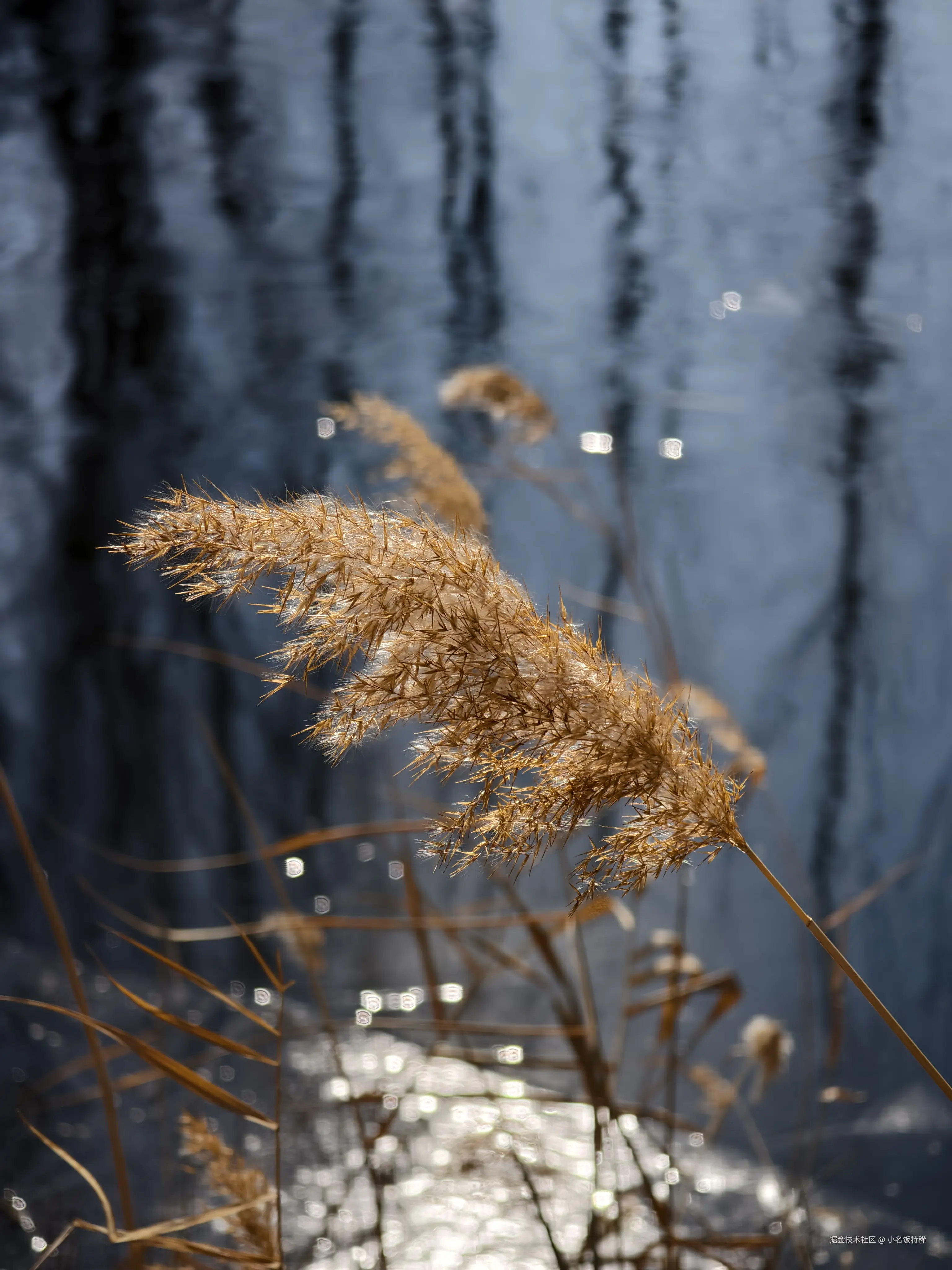 小名饭特稀于2025-02-10 17:44发布的图片