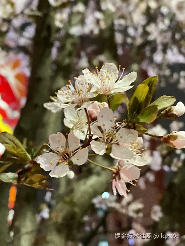 lq木头于2025-03-18 08:21发布的图片