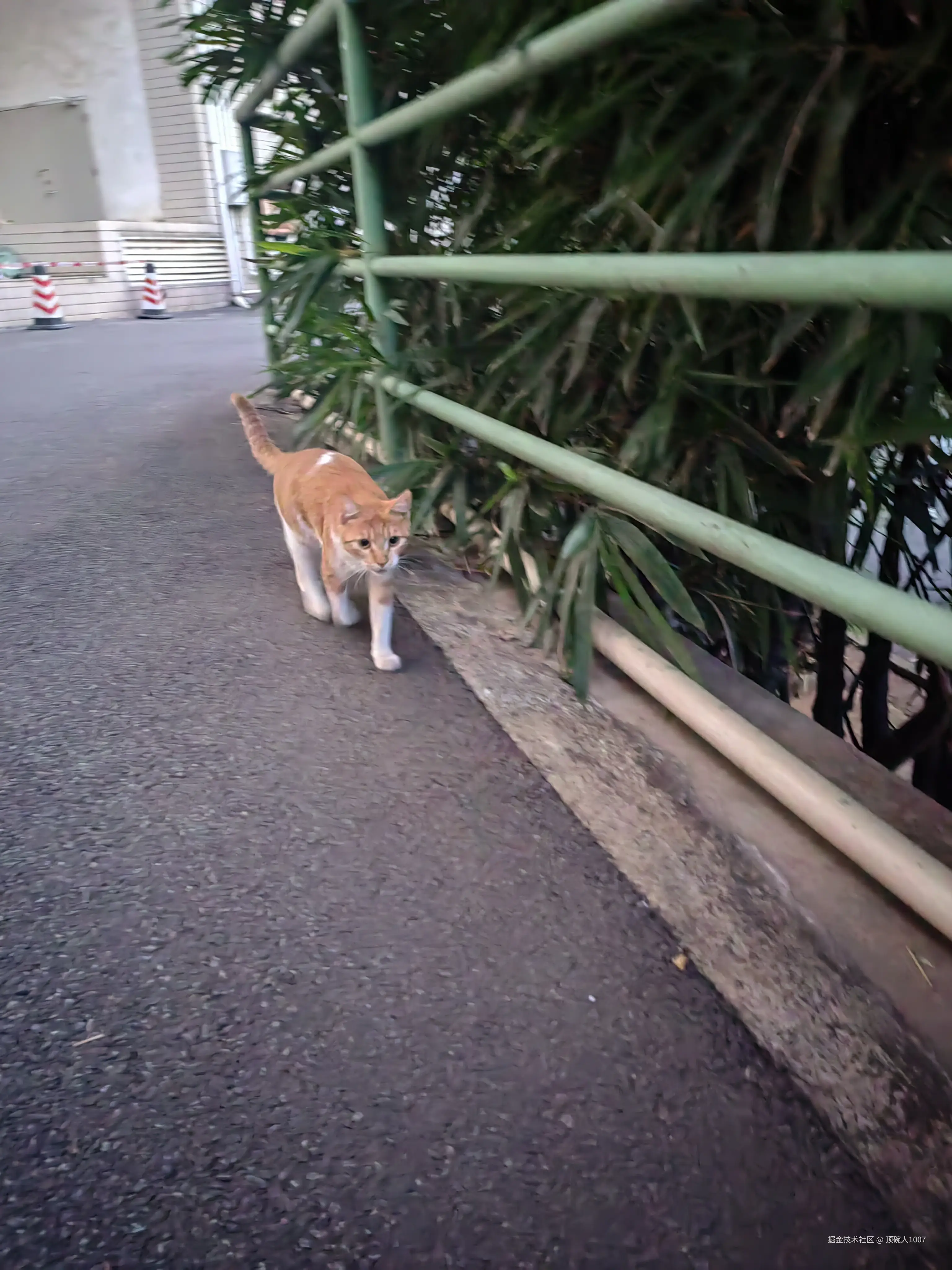 顶碗人1007于2024-12-03 16:01发布的图片