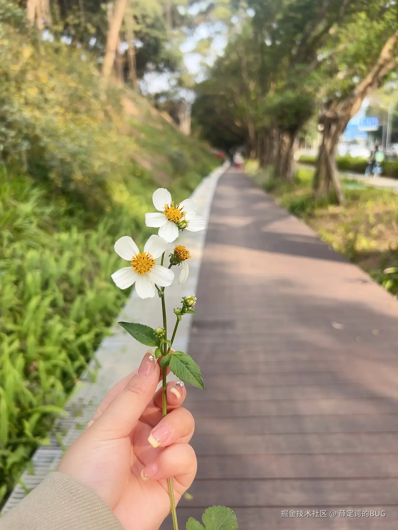 薛定谔的BUG于2025-03-10 00:09发布的图片