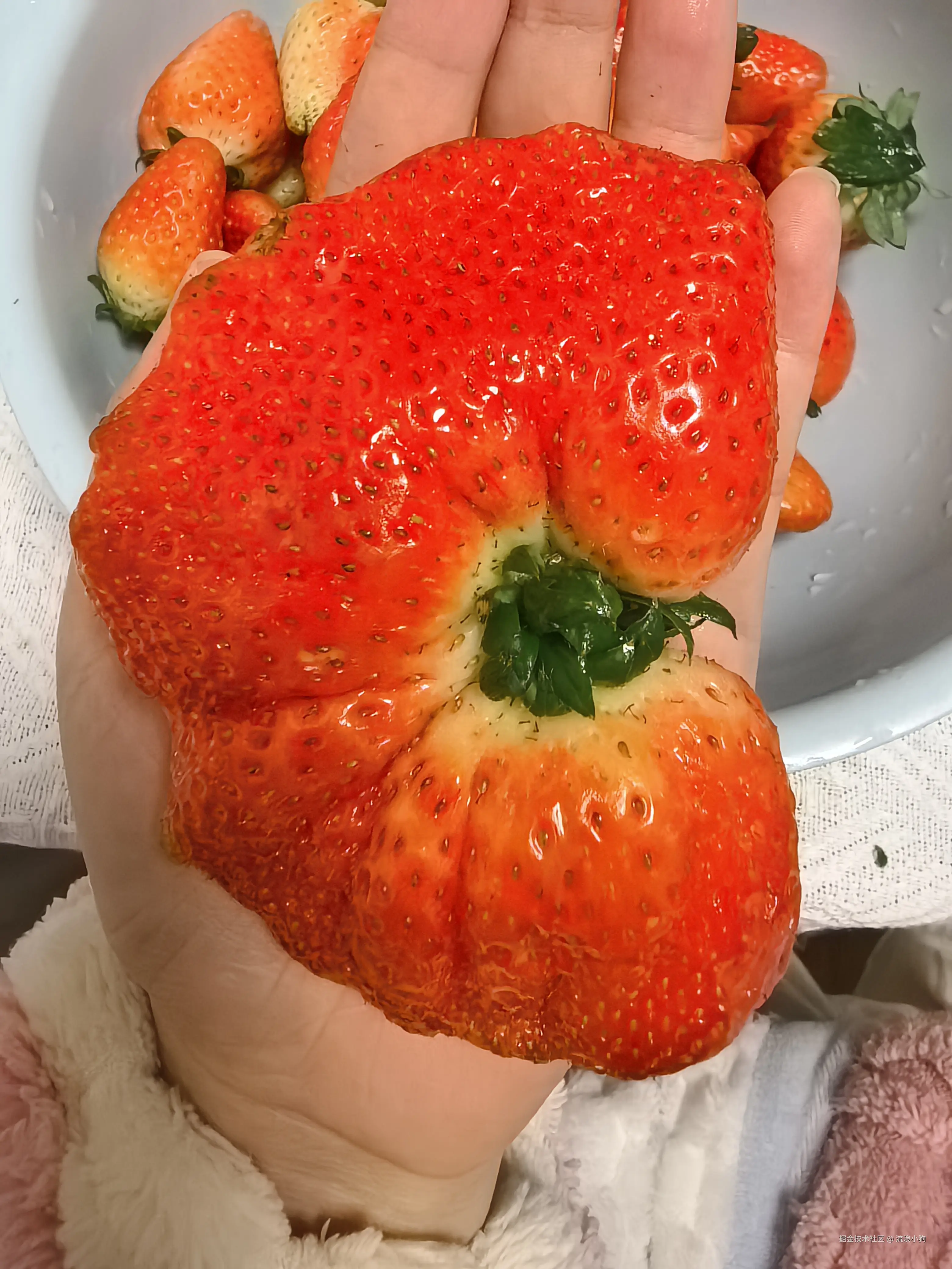 流浪小狗于2025-01-15 10:36发布的图片