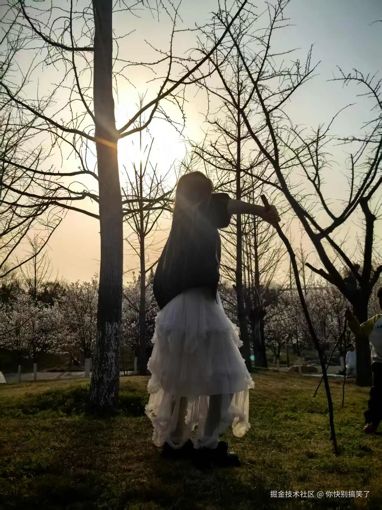 你快别搞笑了于2026-03-23 10:11发布的图片