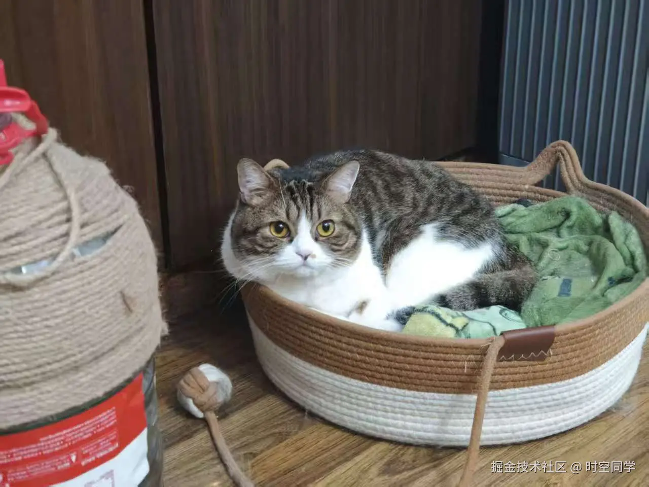 时空同学于2026-01-12 11:27发布的图片