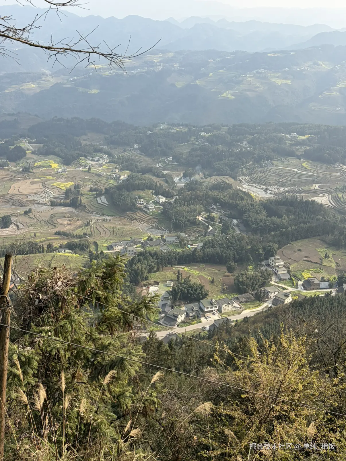 单纯_稀饭于2026-02-27 16:19发布的图片