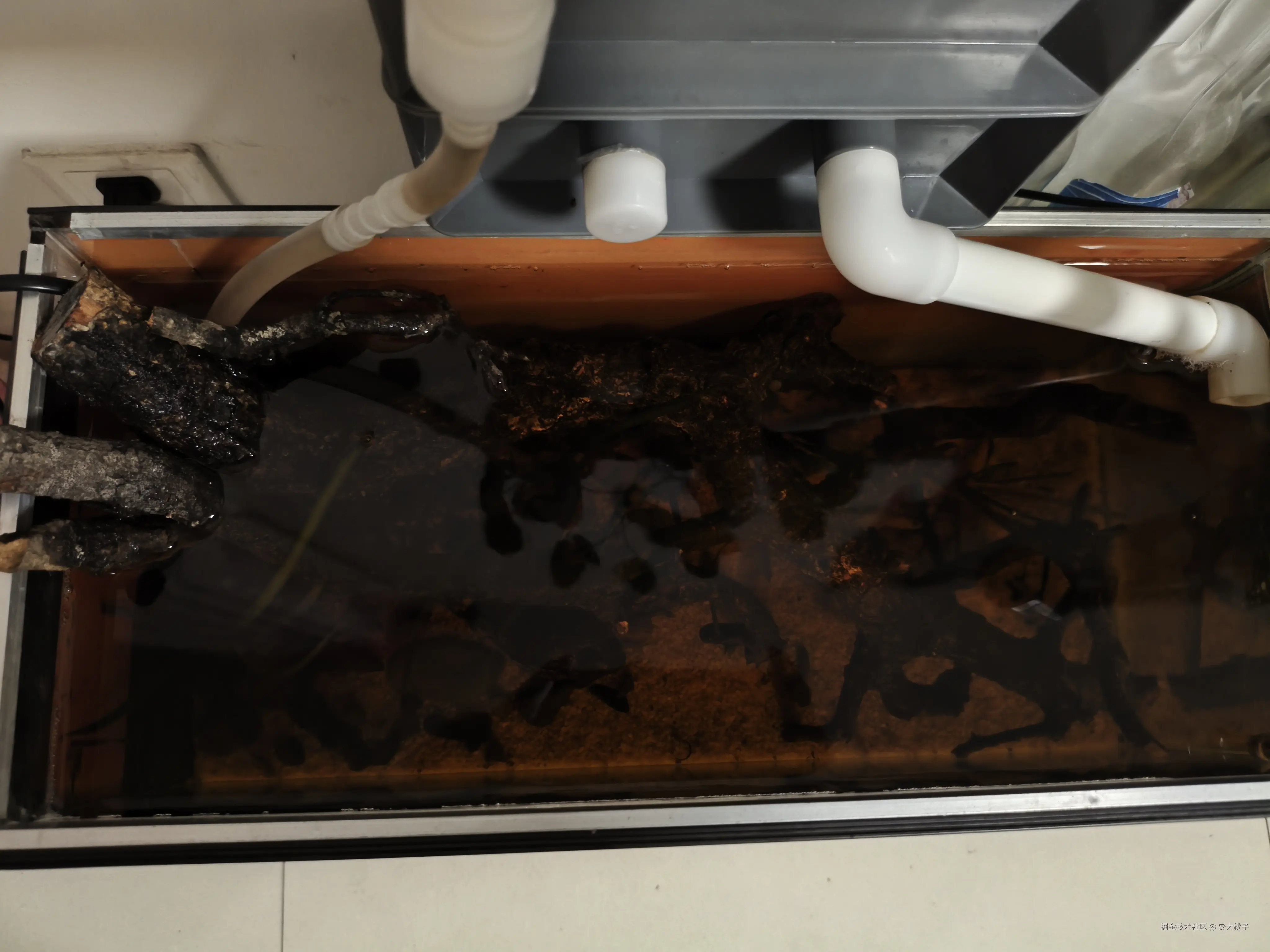 安大桃子于2025-08-28 09:36发布的图片