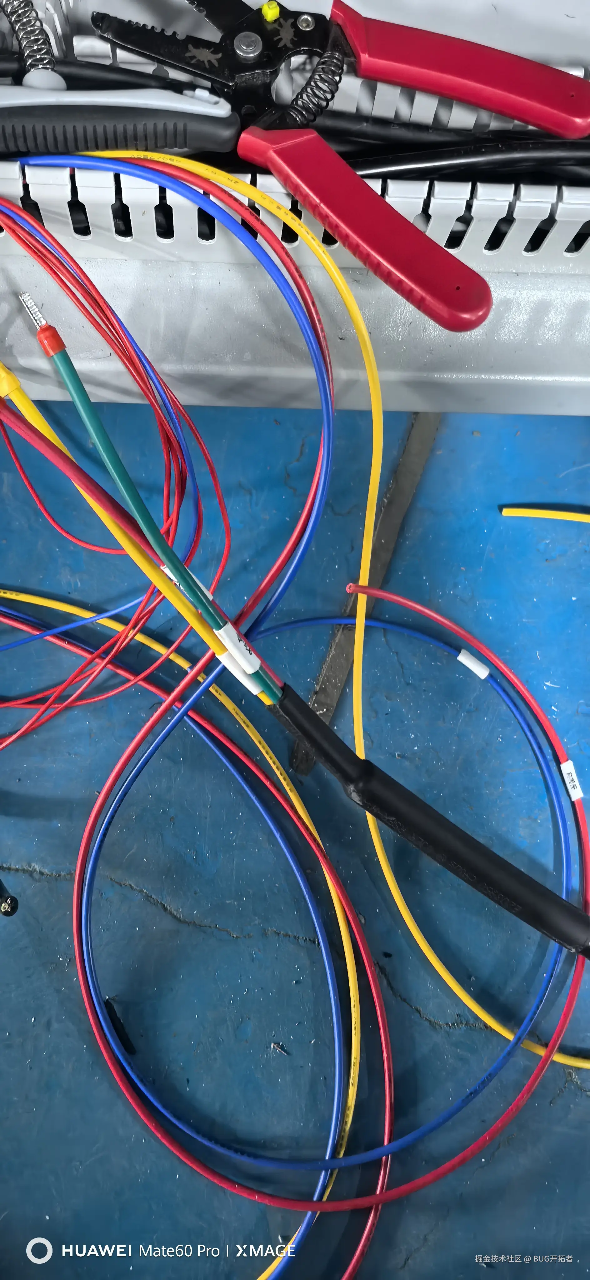 BUG开拓者于2025-10-09 13:39发布的图片