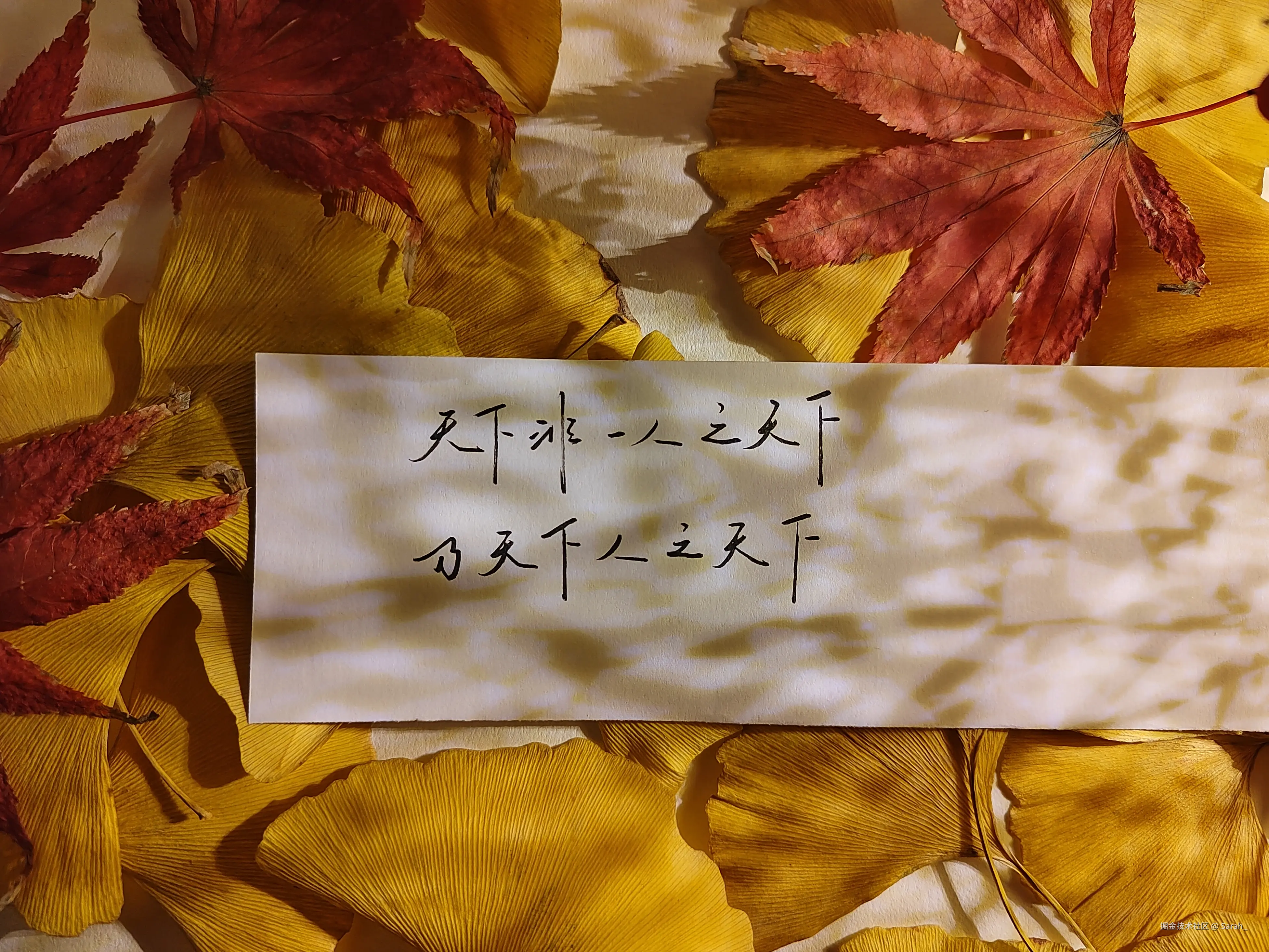 Sarah_于2024-12-25 08:13发布的图片