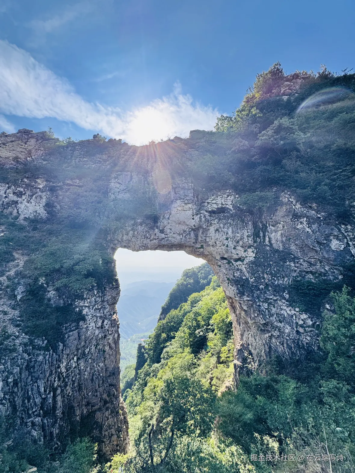 在云端写诗于2025-06-26 16:24发布的图片