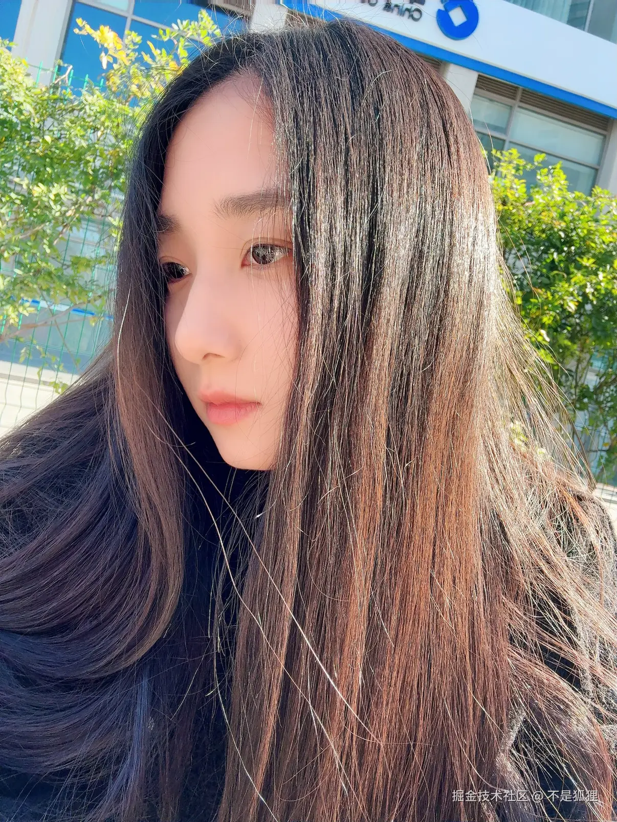 不是狐狸于2025-12-19 09:24发布的图片