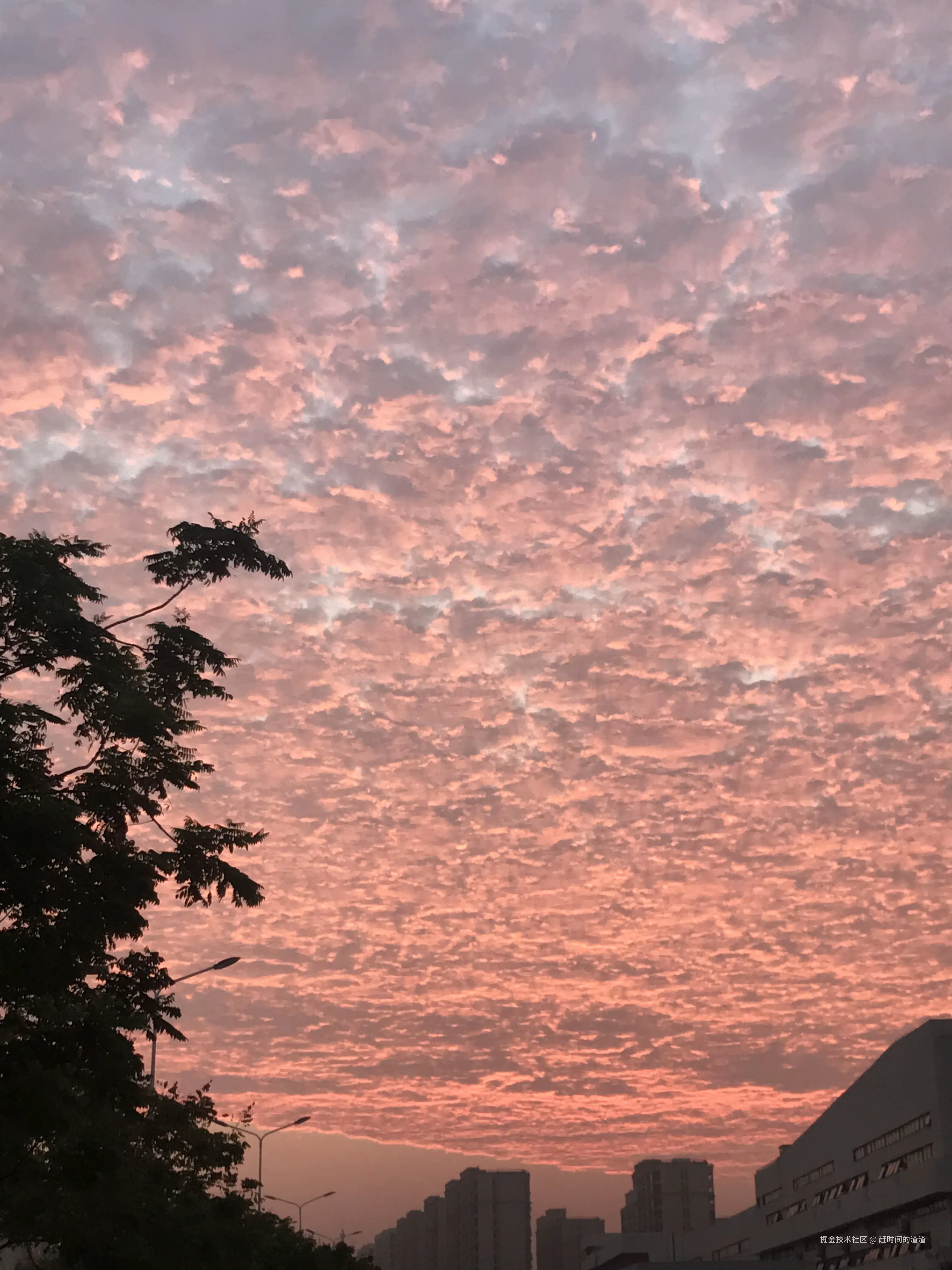 赶时间的渣渣于2025-01-16 01:35发布的图片