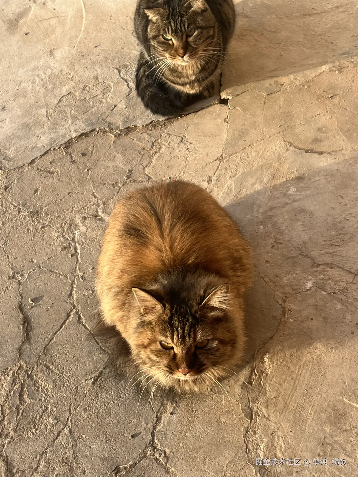 单纯_稀饭于2025-12-15 08:56发布的图片